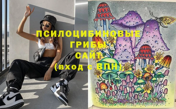 гидропоника Наволоки
