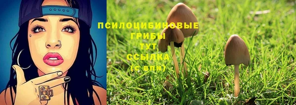 гидропоника Наволоки