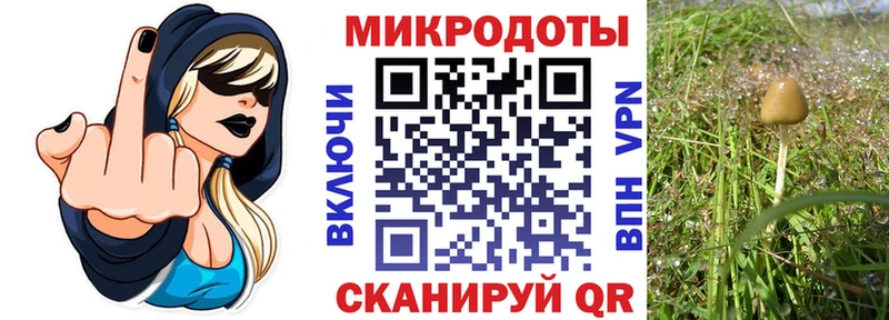 Псилоцибиновые грибы Psilocybe  Таганрог 