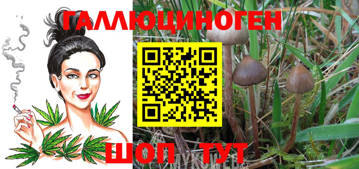 Галлюциногенные грибы мухоморы  Вход с VPN  Таганрог 